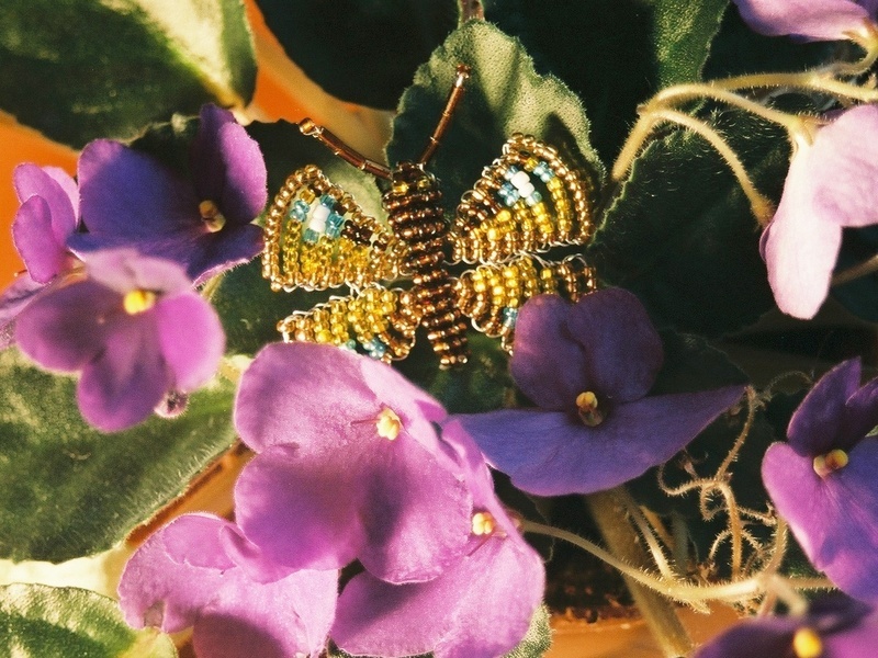 Butterfly on Violas
