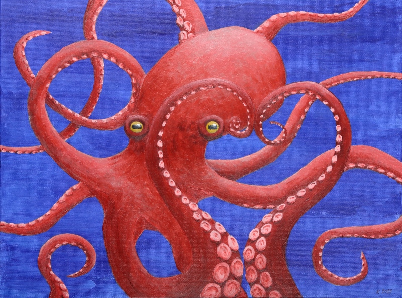 Meine Octopussy, die keinen Valentinstag feiert