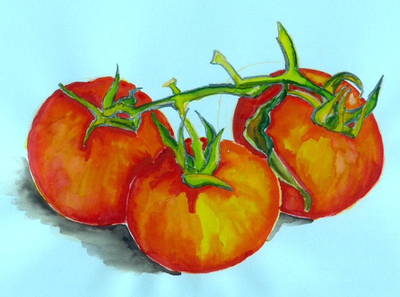 Die Tomaten